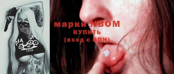 эйфоретик Аркадак