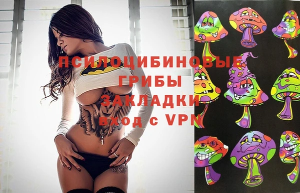 дурь Арсеньев