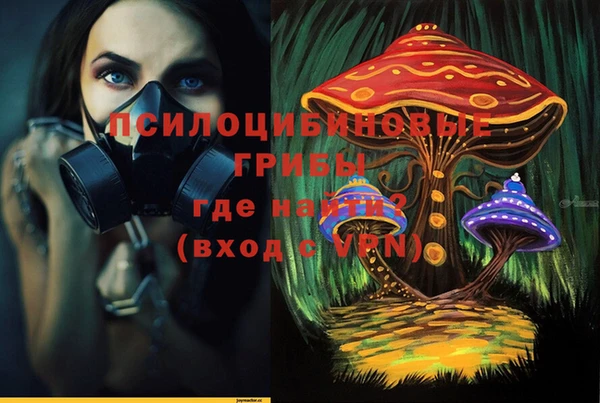 эйфоретик Аркадак