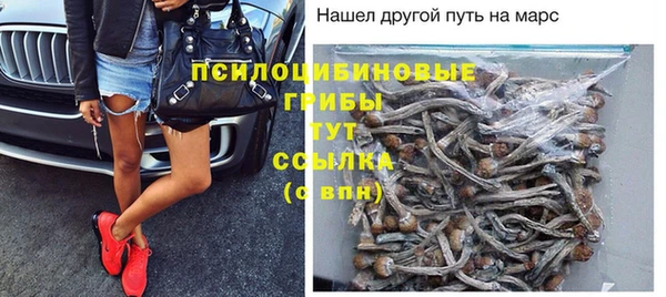 эйфоретик Аркадак