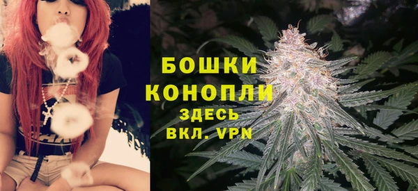 дурь Арсеньев