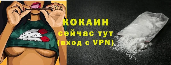 дурь Арсеньев
