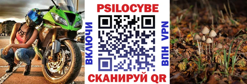 мега ССЫЛКА  Судак  Галлюциногенные грибы Magic Shrooms 
